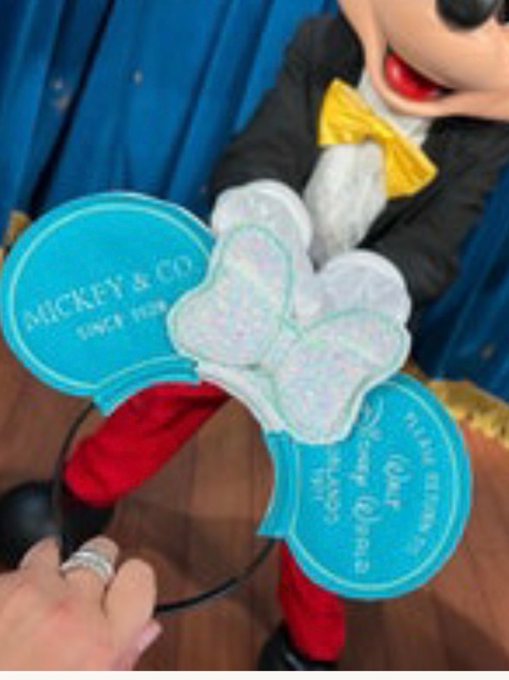 Please Return to Walt Disney World Tiffany Blue Mickey Ears Headband